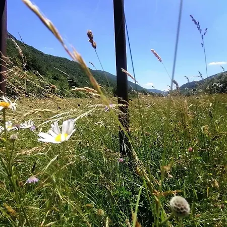 Apartments Martin Brod