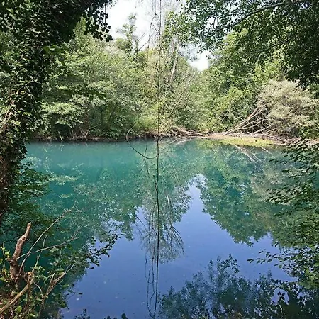 Apartments Martin Brod Martin Brod