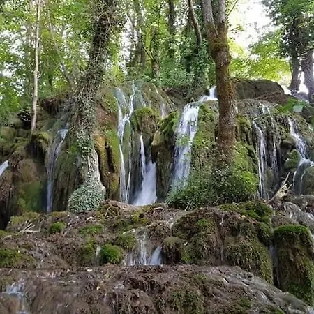 Apartments Martin Brod *