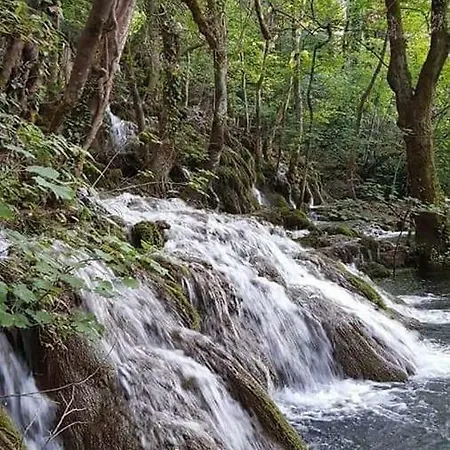 Apartments Martin Brod * Martin Brod