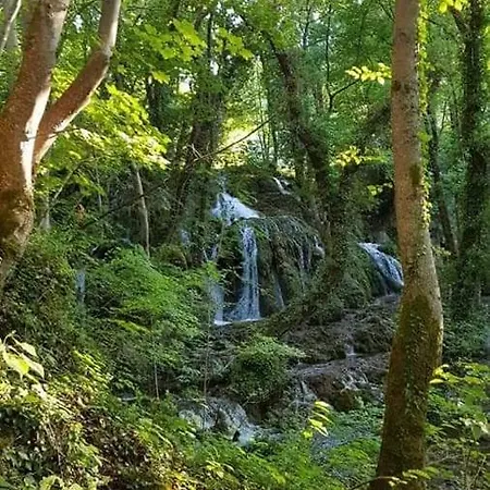 Apartments Martin Brod Martin Brod