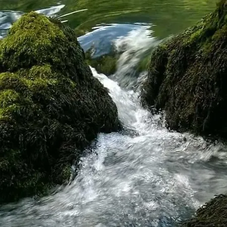 Apartments Martin Brod * Martin Brod