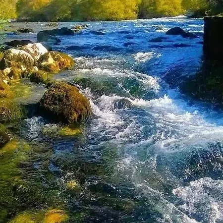 Apartments Martin Brod Apartment *