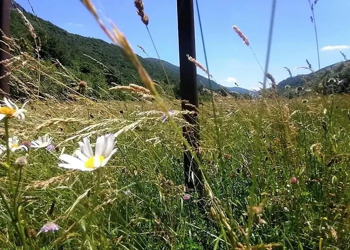 Apartments Martin Brod