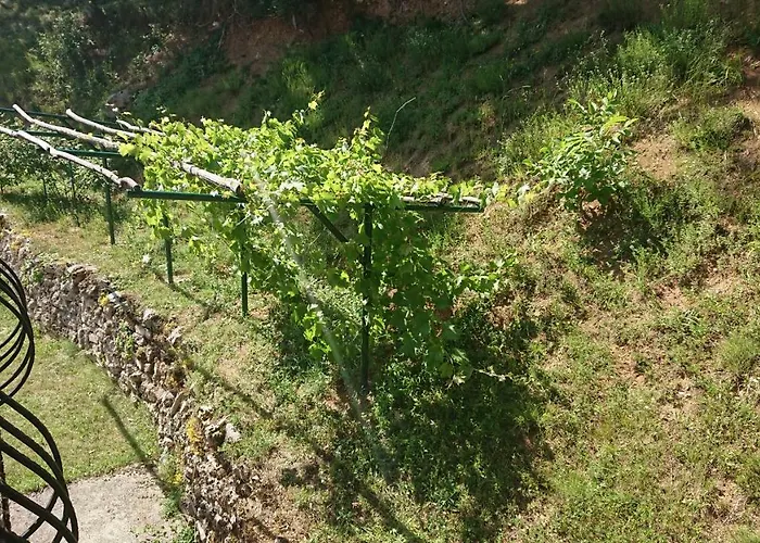 Apartments Martin Brod * Martin Brod