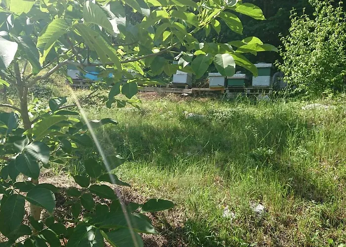 Apartments Martin Brod