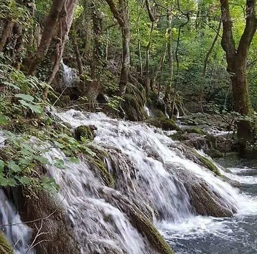 Apartments Martin Brod * Martin Brod