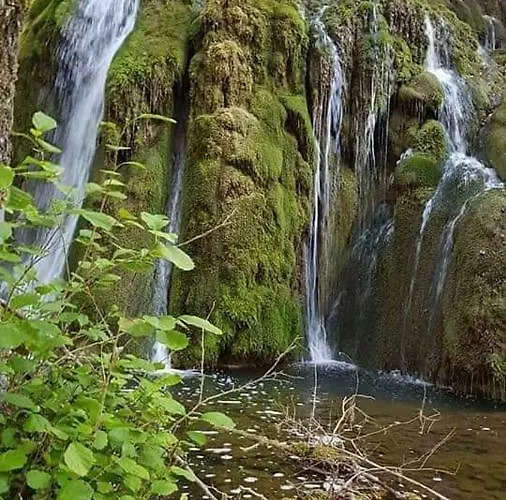 Apartment Apartments Martin Brod *