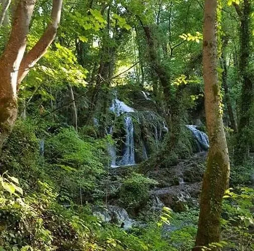 Apartments Martin Brod Martin Brod