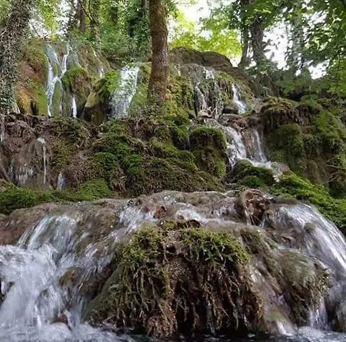 Apartments Martin Brod Martin Brod