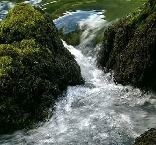 Apartments Martin Brod * Martin Brod