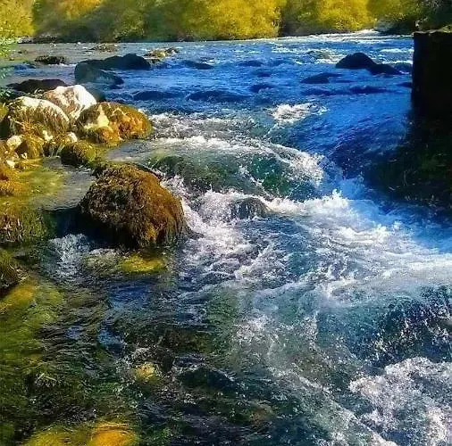 Apartments Martin Brod Apartment *